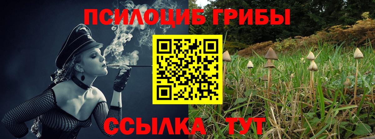 Галлюциногенные грибы MAGIC MUSHROOMS Кимры